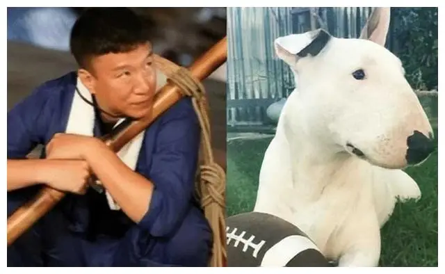 娱乐圈长得很像的明星_最迷人的猫系女神是谁_娱乐圈动物系明星排名