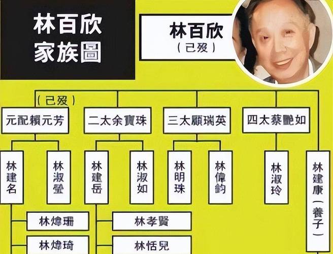 娱乐圈君芳是谁_芳芳娱乐圈_娱乐圈群芳谱