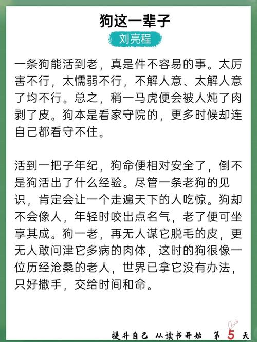 老狗说的那些“内卷”和“大瓜”，你听懂了吗？